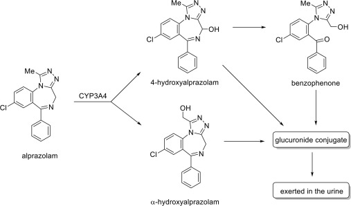 How Alprazolam Works